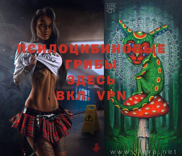 дмт Аркадак